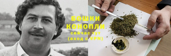 spice Балабаново