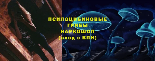 spice Балабаново