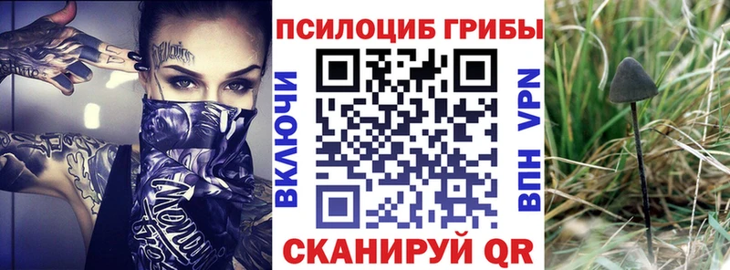 Псилоцибиновые грибы Cubensis даркнет сайт Ленинск